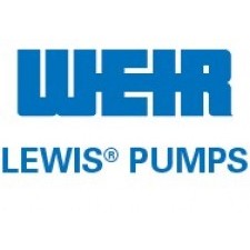 Lewis Pumps