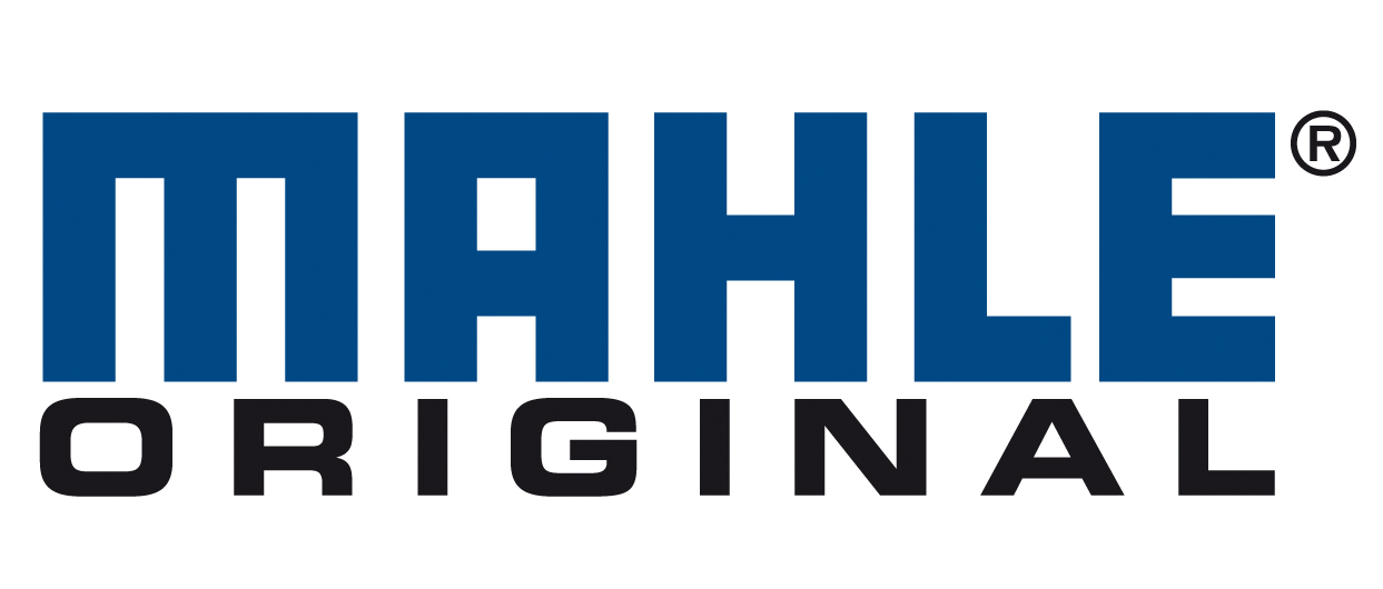 Mahle Industry