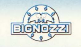 Bignozzi