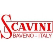 Scavini