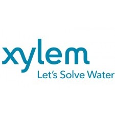 xylem