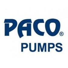 Paco pumps